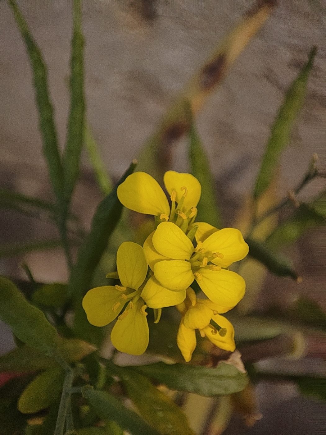 Precision photography by Aradhya Gupta