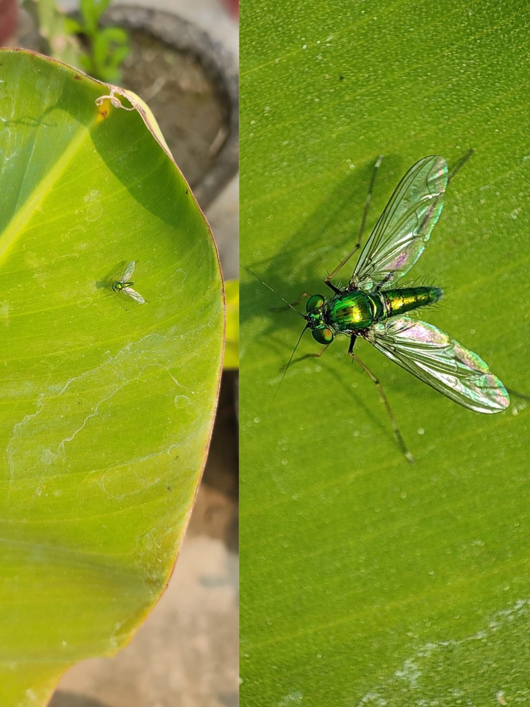 Precision photography by Aradhya Gupta